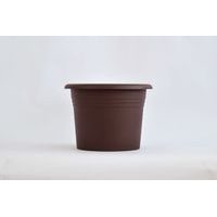 obal d25cm Narcis Čoko