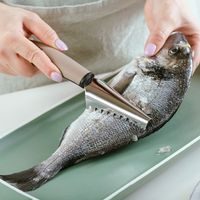 škrabka na ryby 22,5cm MISTY, NR/plast