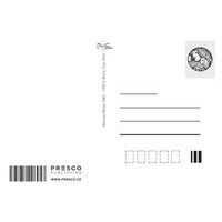 3 a 1/2 roku II aneb s vírou a odhodláním Baagl