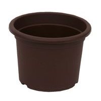 obal d30cm Narcis Čoko