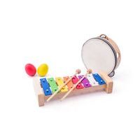 Muzikální set ( xylofon, tamburína/bubínek, triangl, 2 maracas vajíčka )