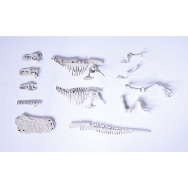 Sada na vykopávání dinosaura, 3 druhy