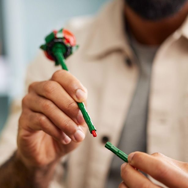 tbd-Icons-Botanicals-1-2024