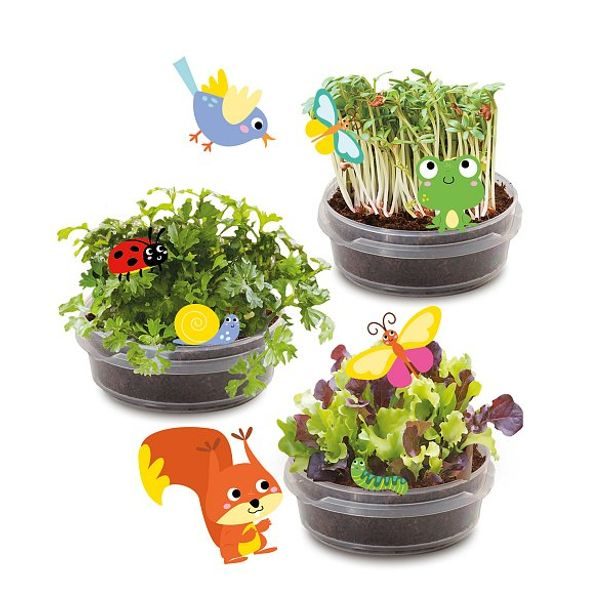 SES Dům na stromě - Pěstování bylinek