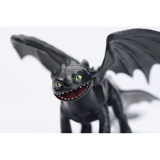 JAK VYCVIČIT DRAKA ZÁKLADNÍ DRACI