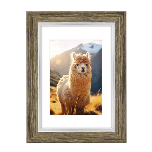 Hama rámeček plastový LIMA, olivová, 10x15 cm