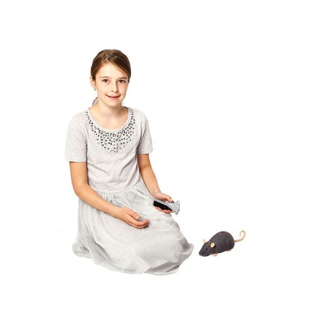 Krysa na ovládání