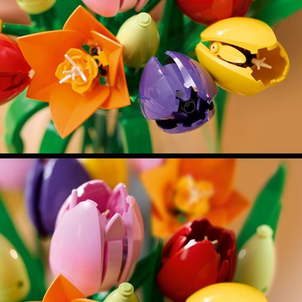 Kytice tulipánů