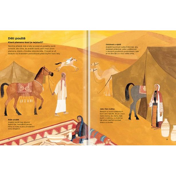 PROČ KONĚ NECHODÍ BOSÍ – Vše o koních Baagl