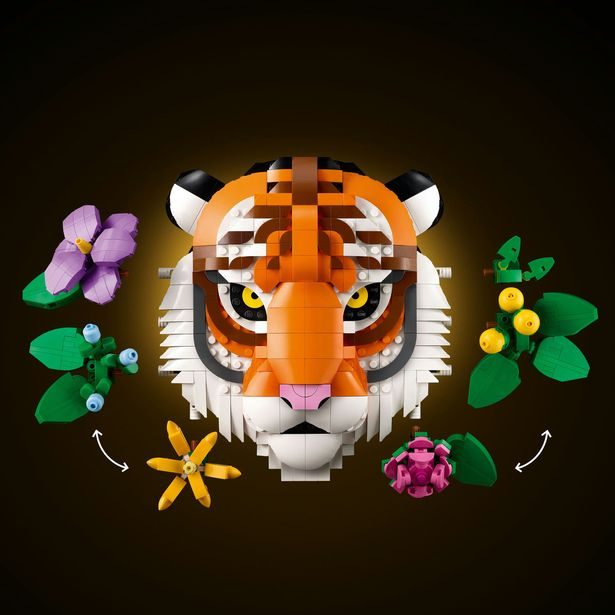 Kolekce zvířat – Tygr