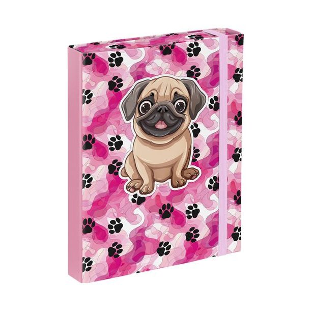 BAAGL Desky na školní sešity A5 Tlapky