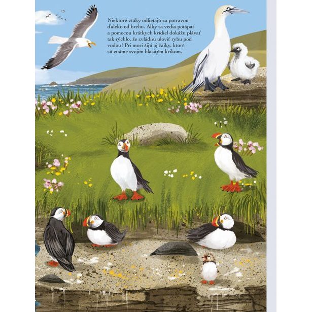 SVET SÝKORIEK, VRABCOV a ďalších spevavcov – Kniha samolepiek Baagl