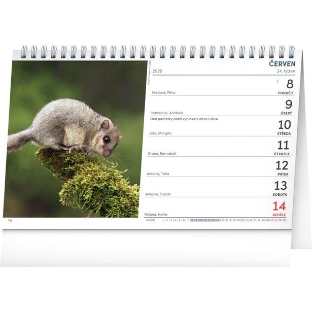 NOTIQUE Stolní Myslivecký kalendář 2026, 23,1 x 14,5 cm