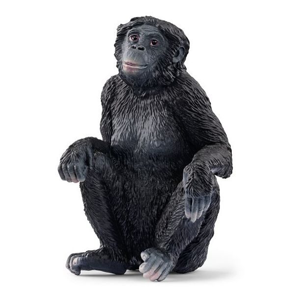 SCHLEICH Zvířátko - samice šimpanze Bonobo