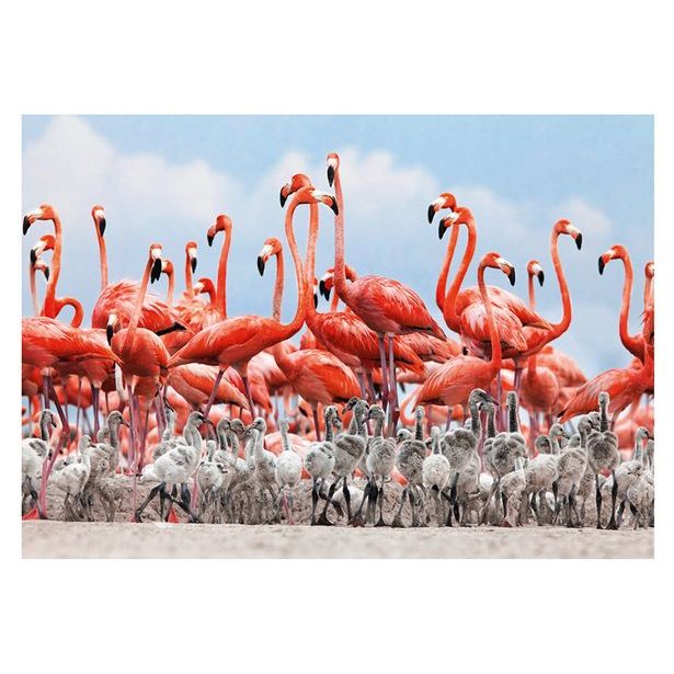 PLAMEŇÁCI 500 Puzzle