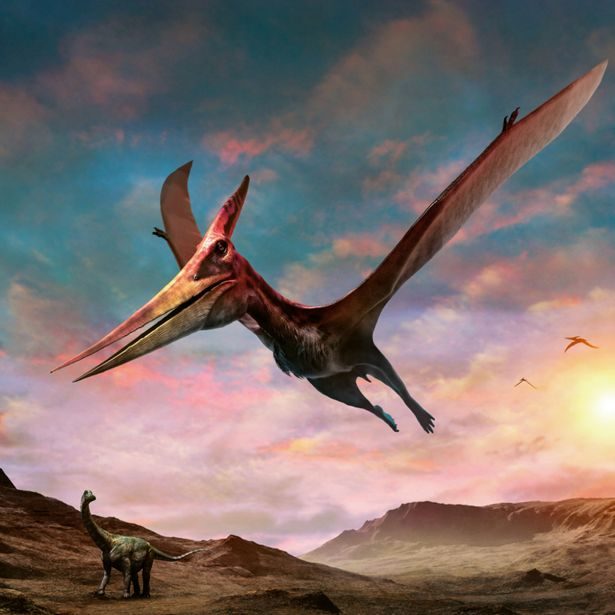 NOTIQUE Poznámkový kalendář Dinosauři 2027, 30 x 30 cm