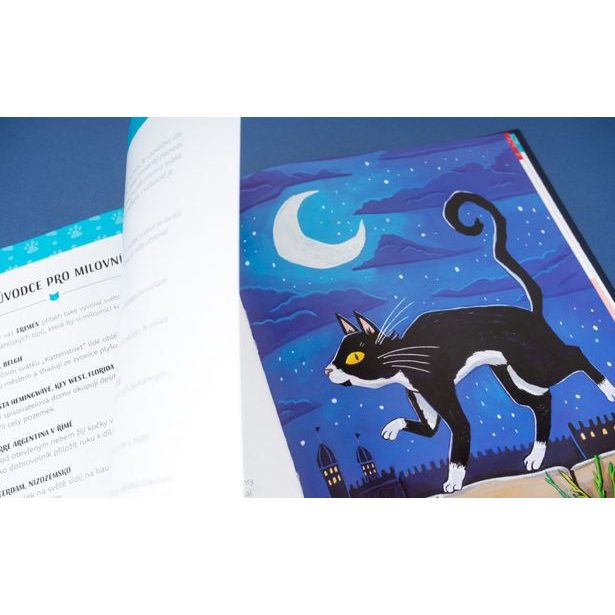 KOČKY V AKCI! – Neuvěřitelné kočičí příběhy Baagl