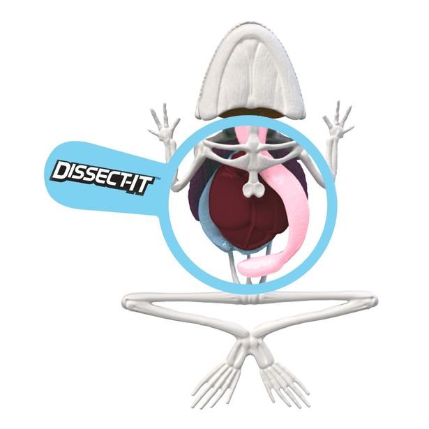 Objevuj Mini Laboratoř, 3 druhy