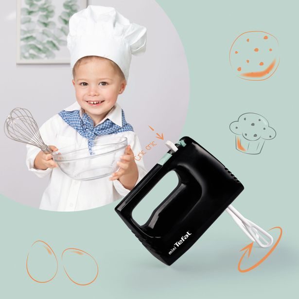 Šlehač Mini Tefal Express