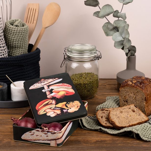 Plechová dóza Houby - Kateřina Winterová collection Baagl