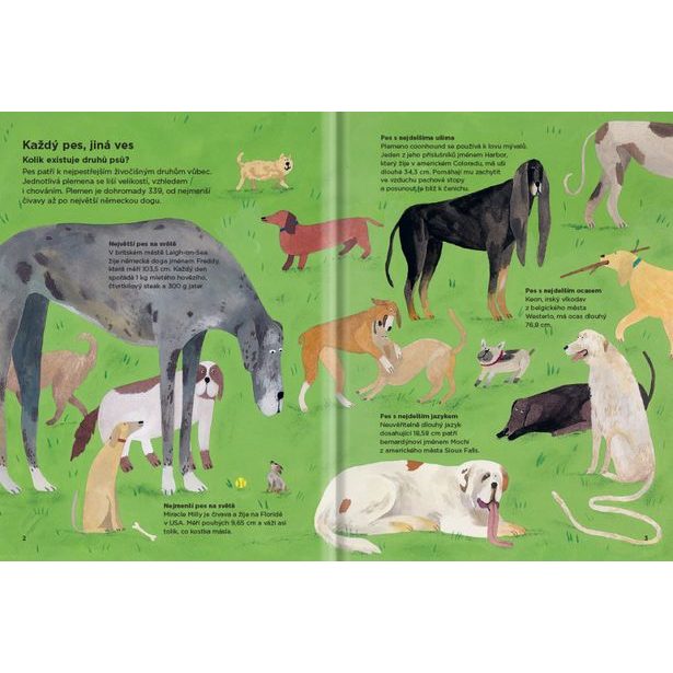 PROČ SE PSI OČMUCHÁVAJÍ? – Vše o psech Baagl