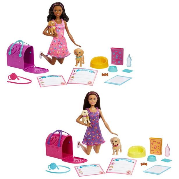 BRB PANENKA S PEJSKY