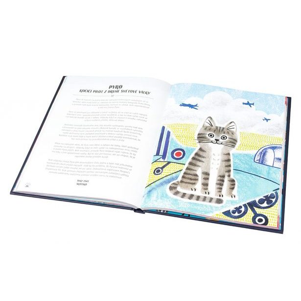 KOČKY V AKCI! – Neuvěřitelné kočičí příběhy Baagl