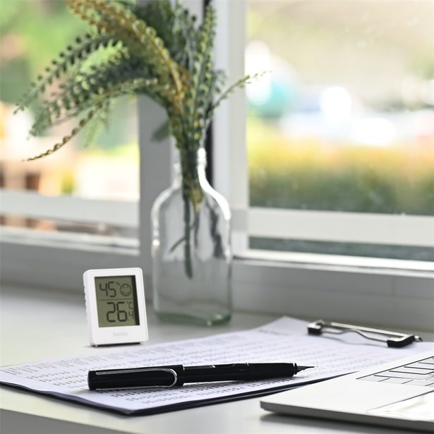 Hama Cres, digitální teploměr/vlhkoměr, bílý, 3 ks v balení (cena za balení)