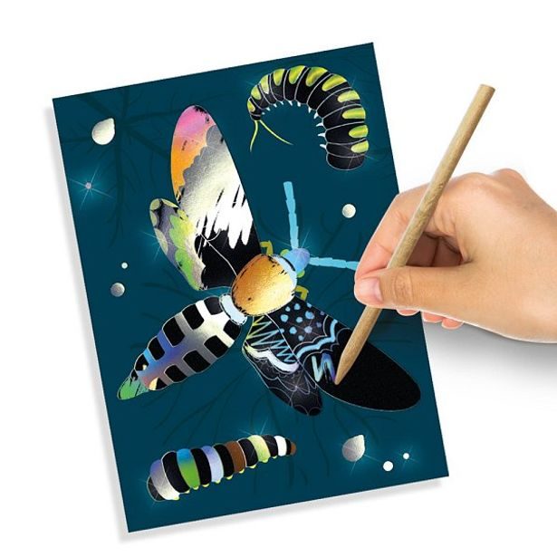 Holografické vyškrabávací obrázky - hmyzí říše