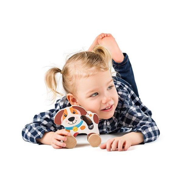 WOODY Pes na kolečkách s držadlem