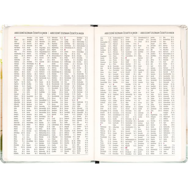 NOTIQUE 18měsíční diář Petito – Kapybara 2026/2027, 11 x 16 cm