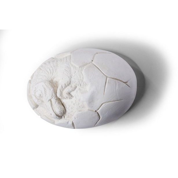 Sada na vykopání dinosaura vejce 4 ks