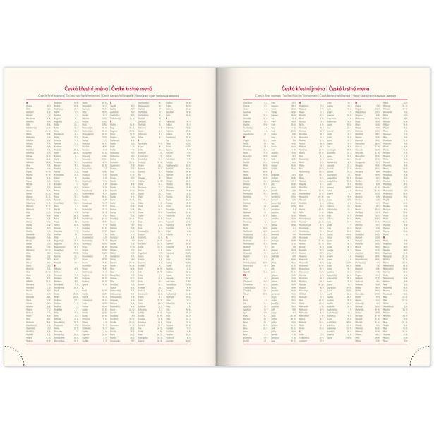 NOTIQUE Denní diář Essenza 2026, oříšek, 15 x 21 cm