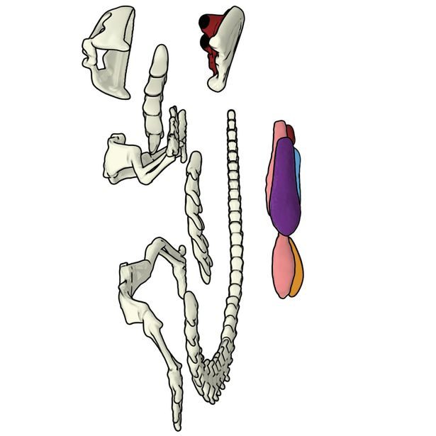 Objevuj Mini Laboratoř, 3 druhy