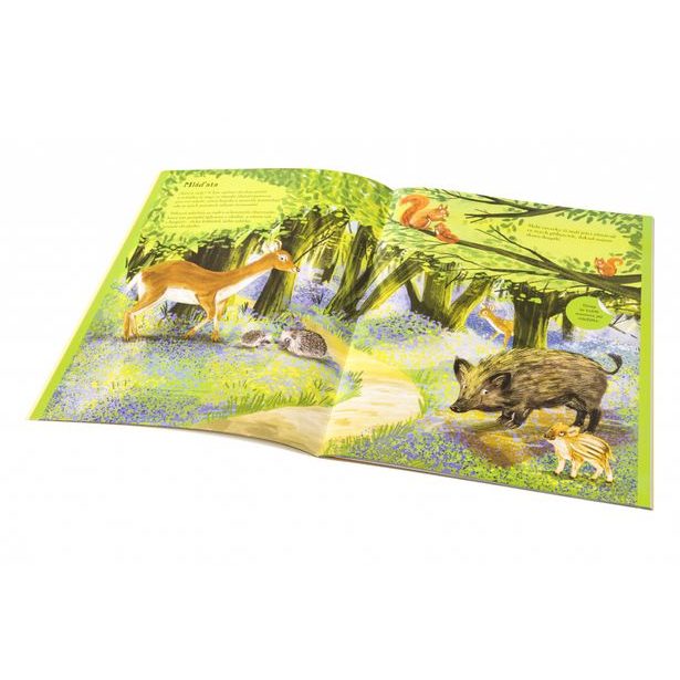 JEŽCI, UŠÁCI a další chlupáči – Kniha samolepek Baagl