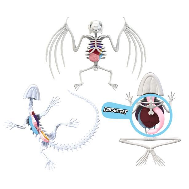 Objevuj Mini Laboratoř, 3 druhy