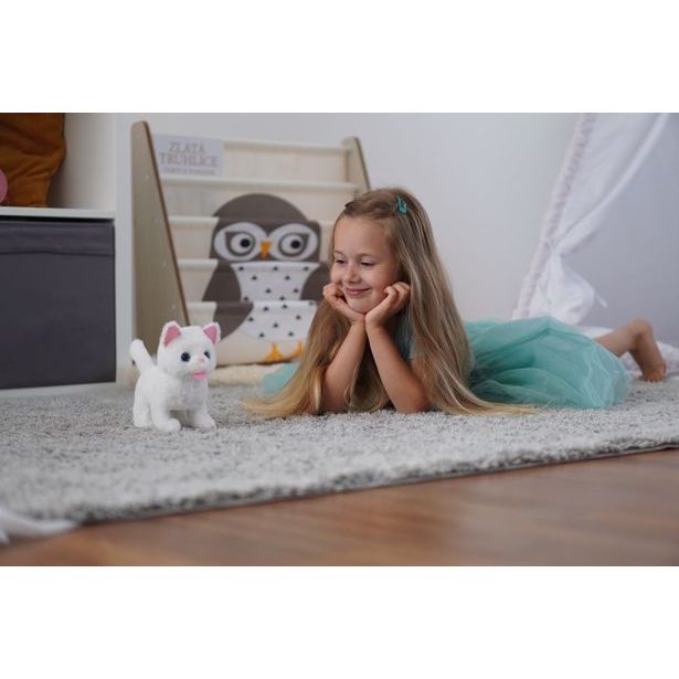 Kočička na baterie