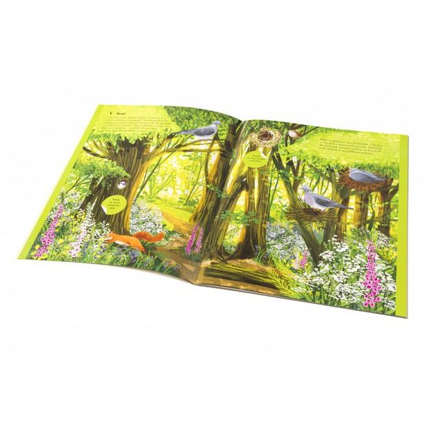 SÝKORKY, VRABČÁCI a další zpěváčci – Kniha samolepek Baagl