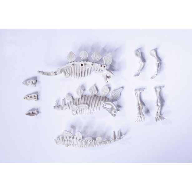 Sada na vykopávání dinosaura, 3 druhy