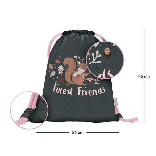 BAAGL Sáček na obuv Veverka Baagl