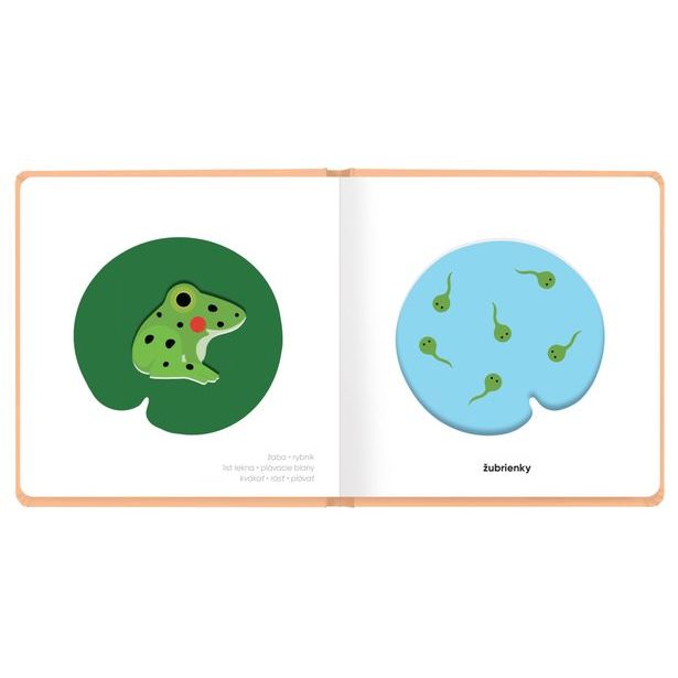 MOJE MLÁĎATKÁ – Klap klap obrázky