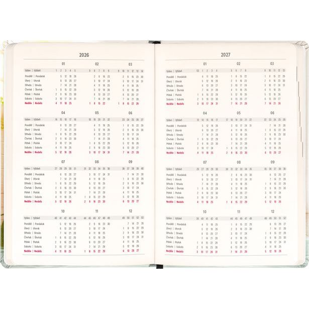 NOTIQUE 18měsíční diář Petito – Kapybara 2026/2027, 11 x 16 cm