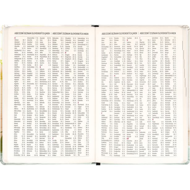 NOTIQUE 18měsíční diář Petito – Kapybara 2026/2027, 11 x 16 cm