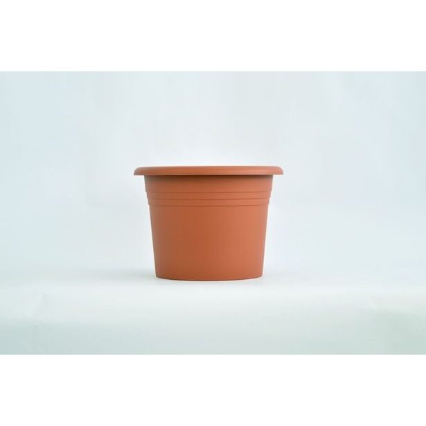 obal d25cm Narcis TER