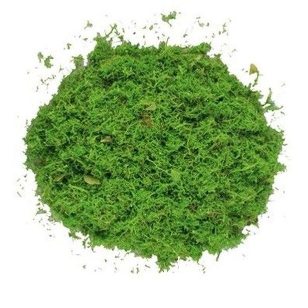 dekorace MECH zelený, 87g, sáček