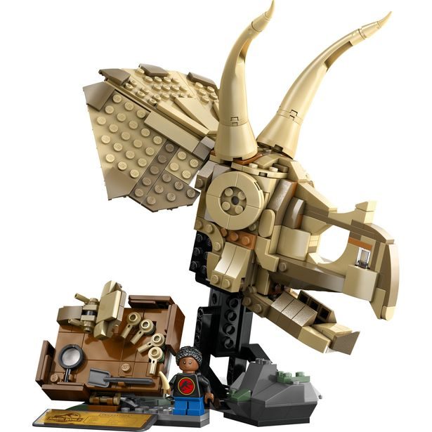 Dinosauří fosilie: Lebka triceratopse