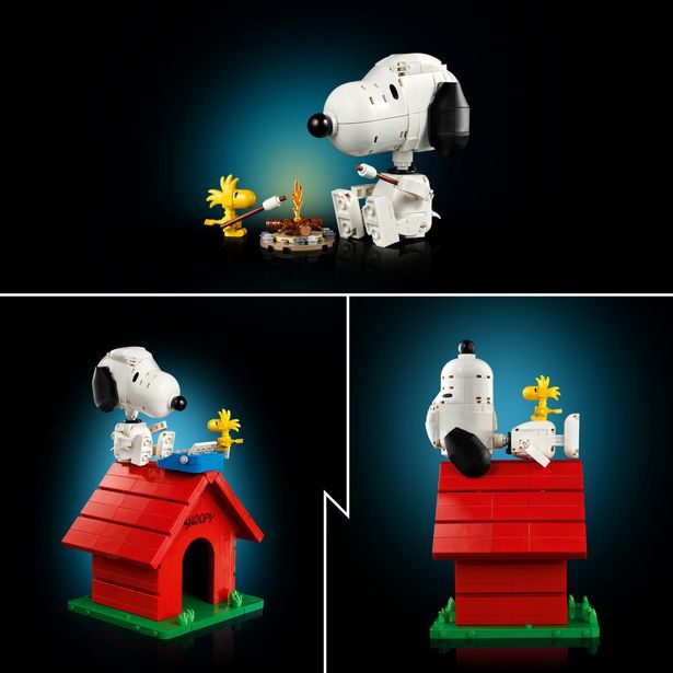 Peanuts: Snoopyho bouda