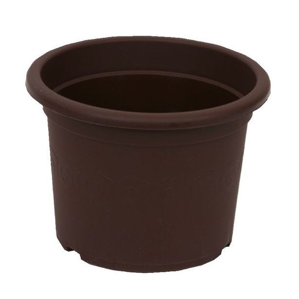 obal d30cm Narcis Čoko
