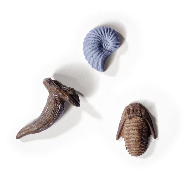 Sada na vykopávání dinosaura, 3 druhy