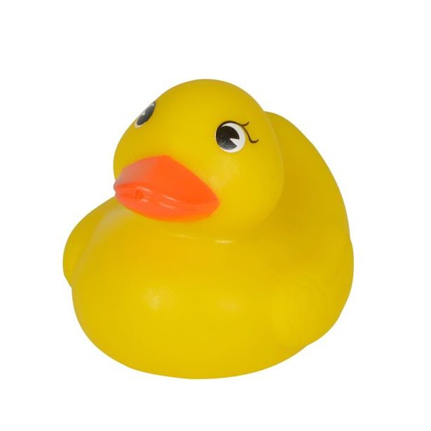 Kachničky do vody v síťce